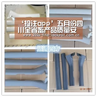 世界杯投注app